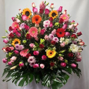 Redondo 100 Flores Premium