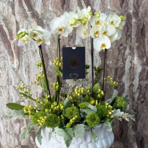 Susurro de Orquídeas