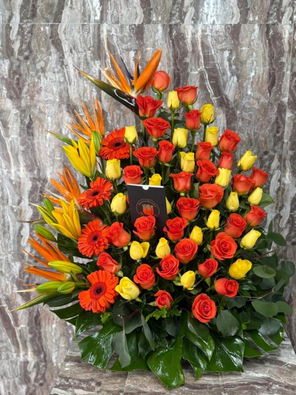 Antorcha Tropical
