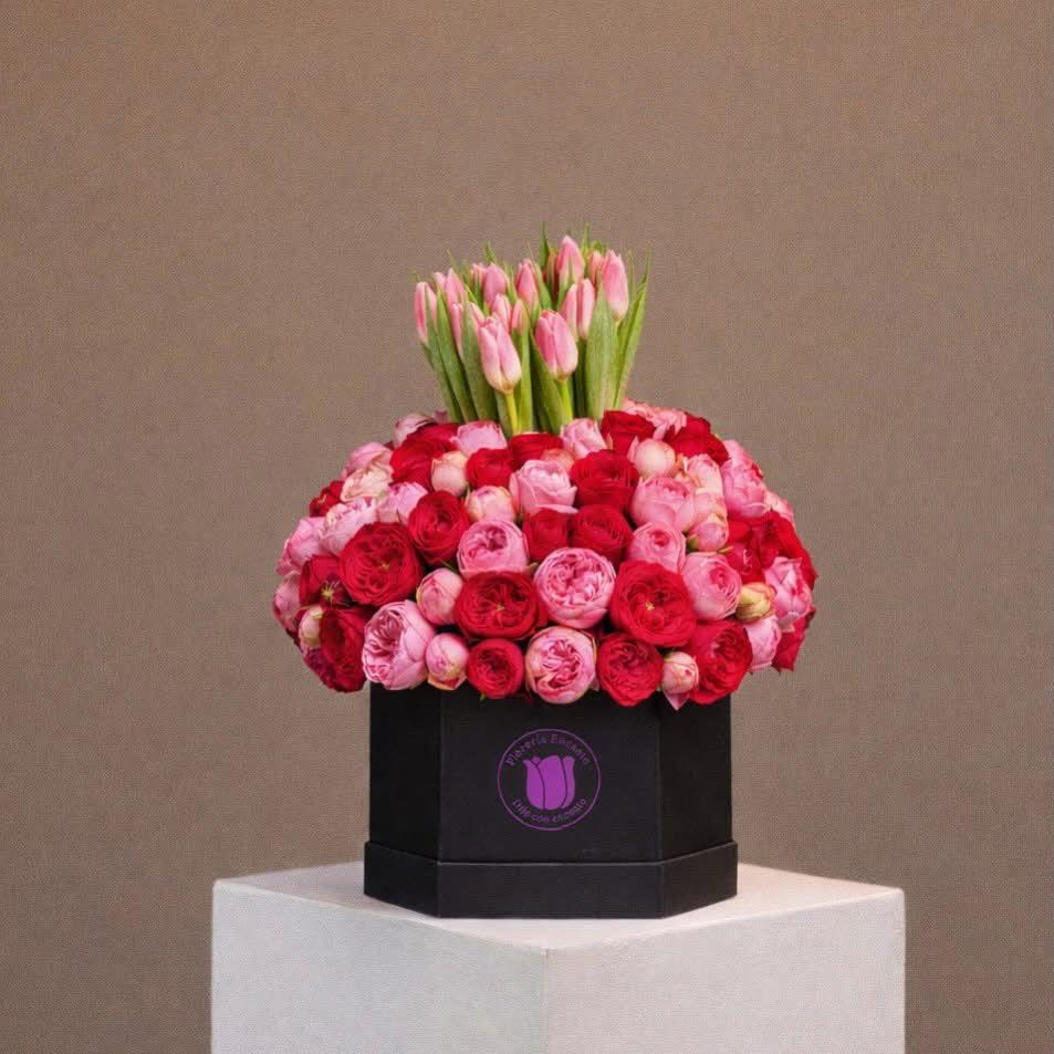 Caja 50 Rosas Inglesas y 20 Tulipanes 1 Caja 50 Rosas Inglesas y 20 Tulipanes